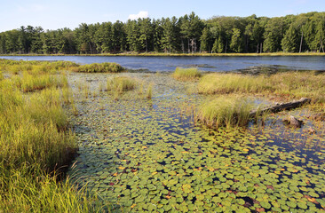 View of one of the lakes in the Muskoka area, Ontario