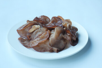 black fungus on white background with copy space 