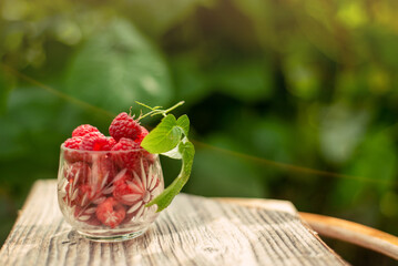 Large juicy raspberries in a transparent glass against a background of green foliage on a sunny morning
