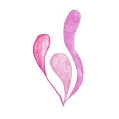 Watercolor flowers. Object on white background.