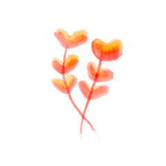 Watercolor flowers. Object on white background.