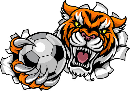 recommend clip art: Tiger Holding Soccer Ball Breaking Background