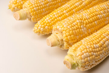 Yellow corn isolated on white background. Copyspace.