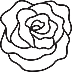 rose flower line drawing