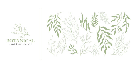 Botanical hand drawn vector set of line green branches, leaves isolated on white background.