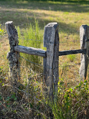 Fototapeta premium old wooden fence