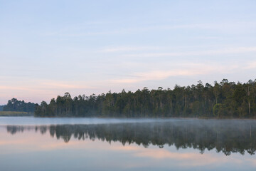 Obraz na płótnie Canvas Beautiful nature and fog on the reservoir in Khao Yai National Park Thailand.Selective focus