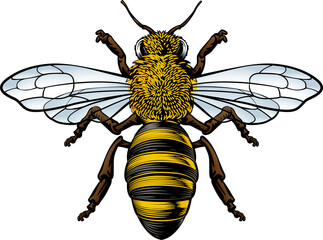 Honey Bumble Bee Vintage Woodcut Engraving Etching - obrazy, fototapety, plakaty