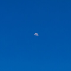 moon in the sky