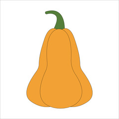 Pumpkin big orange vector cartoon vegetable illustration isolated on white background	
