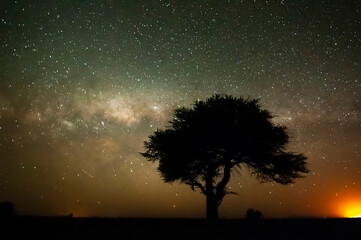 Naklejka na ściany i meble Pampas landscape photographed at night with a starry sky, La Pampa province, Patagonia , Argentina.