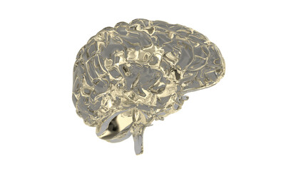 3d rendered medically accurate illustration