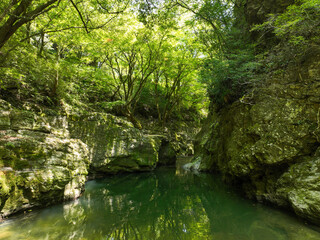 愛媛県砥部町　仙波渓谷の風景