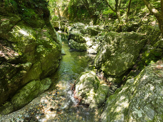 愛媛県砥部町　仙波渓谷の風景