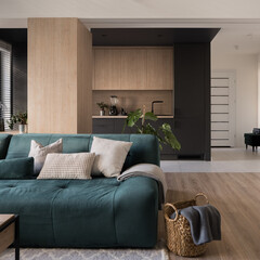 Cozy sofa in room open to kitchen