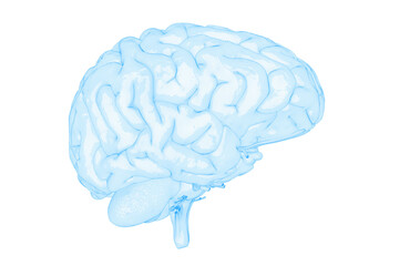 3d rendered medically accurate illustration