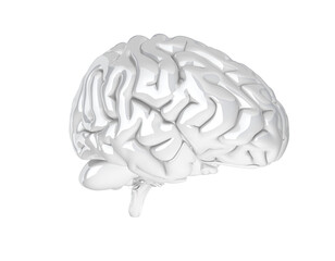 3d rendered medically accurate illustration