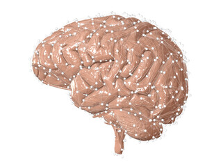 3d rendered medically accurate illustration