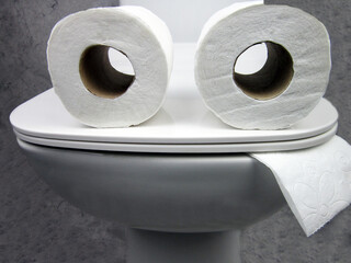     Toilet bowl with two rolls of paper similar to eyes or glasses. Funny concept of running out of toilet paper                     