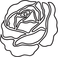 rose flower line drawing