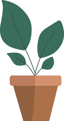 Minimal style potted plants.