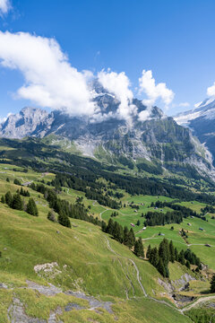 View of the Wetterhorn mountain in the Swiss Alps near Grindelwald, Switzerland