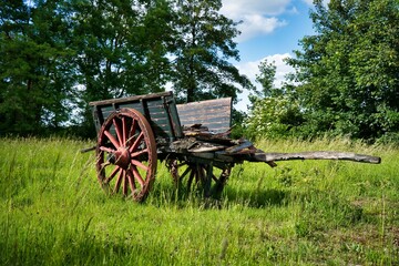 Old horse cart on a green grass with tree around