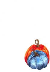 watercolor blue and orange pumpkin on a white background on the right bottom of the page