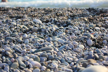 pebble beach of the black sea coast close-up