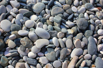 pebble beach of the black sea coast close-up