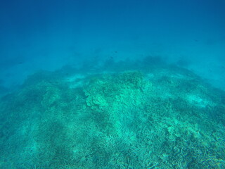 Fototapeta na wymiar Uninhabited island JEEP island in Chuuk, Micronesia. Here is the world's greatest wreck diving destination.