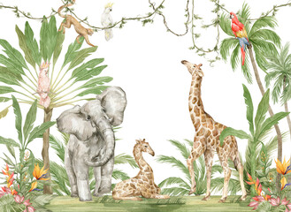 Watercolor composition with African animals and natural elements. Elephant, giraffe, monkeys, parrots, palm trees, flowers. Safari wild creatures. Jungle, tropical illustration for nursery wallpaper - 524096235