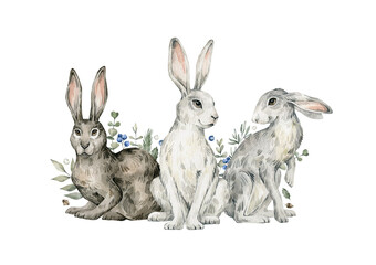 Watercolor cute rabbits, hares, plants. Forest baby animals, berries, pines, leaves. Wild woodland, nature scene. Wildlife creatures
