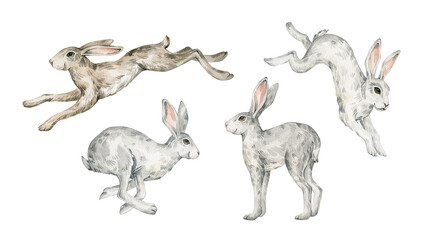 Watercolor cute hare, rabbit, bunny. Wild forest animals. Hand-painted woodland wildlife. 