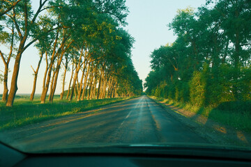 Beautiful view of the road from the car window. View of the highway among the trees through the...