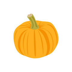 Autumn halloween pumpkin vector. Orange pumpkin illustration. vegetable graphic icon or print isolated on white background.
