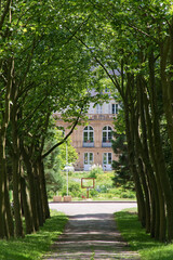 Das Château d'Urville (Schloss von Urville). Schloss in Lothringen mit Baumallee