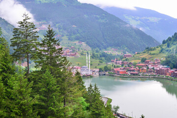 foggy day in Uzung&ouml;l - Uzung&ouml;l district, &Ccedil;aykara - Trabzon, Turkey