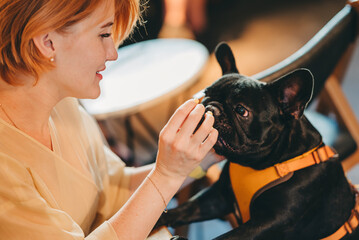 Woman with her pet french bulldog puppy in the dog friendly cafe sitting and pay attention to the dog
