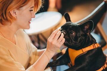 Woman with her pet french bulldog puppy in the dog friendly cafe sitting and pay attention to the...