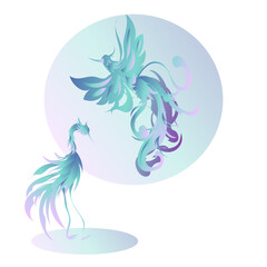 Magic blue birds pair illustration 