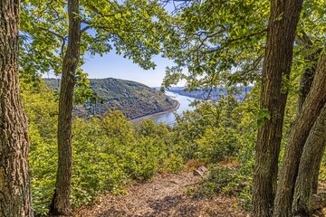 Image of the Rhine near Bingen from a vantage point during the day