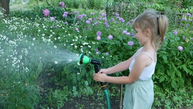 Little girl child holds a hose with a sprayer and watered the plants in the garden.