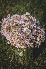 bouquet of fresh blooming lilac flowers in spring