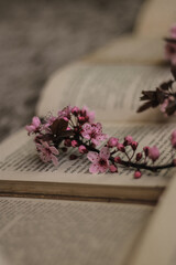 Books and spring, twig in bloom