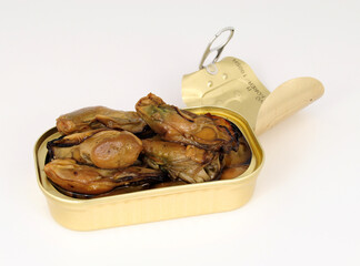 Tinned wood smoked oysters in sunflower oil
