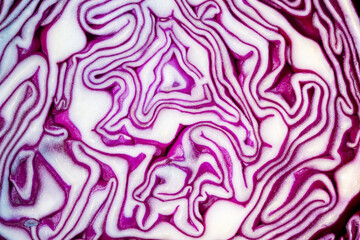 Obraz premium Macro Purple Cabbage,Macro shot of purple cabbage texture. Food background. Close-up macro view of red cabbage, scotch kale, high resolution. Organic food. View from above. Copy space. Vertical shot.
