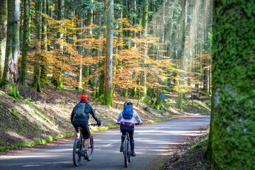 Two bikers cycling in the forest in autumn season during fall foliage. Parco nazionale delle foreste casentinesi. Tuscany - Emilia Romagna, Italy