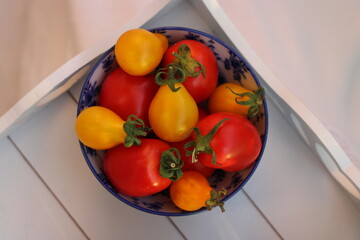 Fresh tomatoes ripe from garden harvest