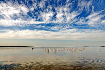 Landscape views coastline and water surface of the Tiligul lake before sunset. Nature of Ukraine, 2019. 